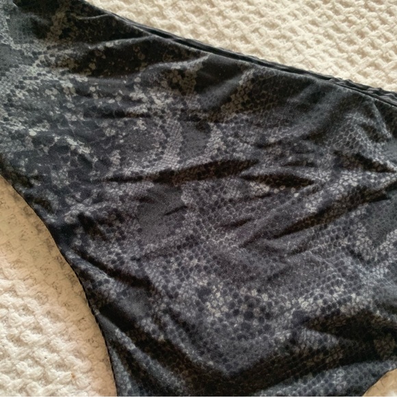 Acacia bikini - Picture 2 of 4